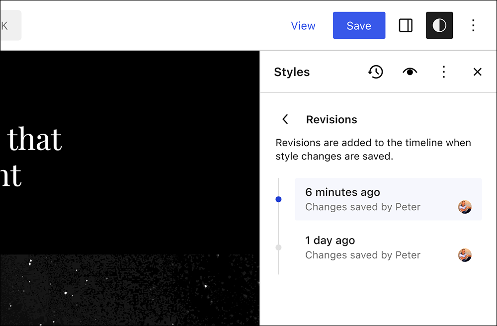 WordPress 6.3 - Styles revisions