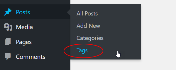 WordPress Posts > Tags menu.