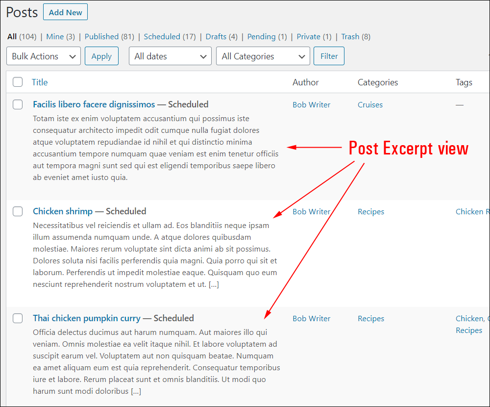 WordPress Table of Posts - Post Excerpt view.