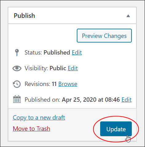 Publish Section - Update button.