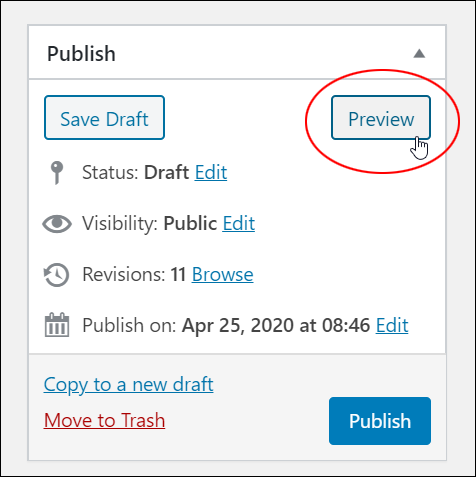 Publish Section - Preview button.