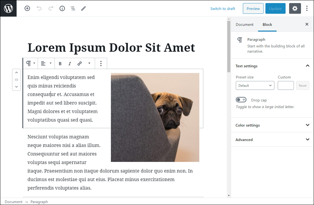 The WordPress Block Editor interface.