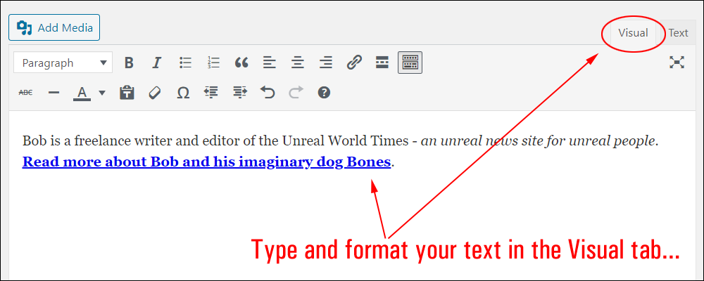 Type and format your text in the Visual tab.