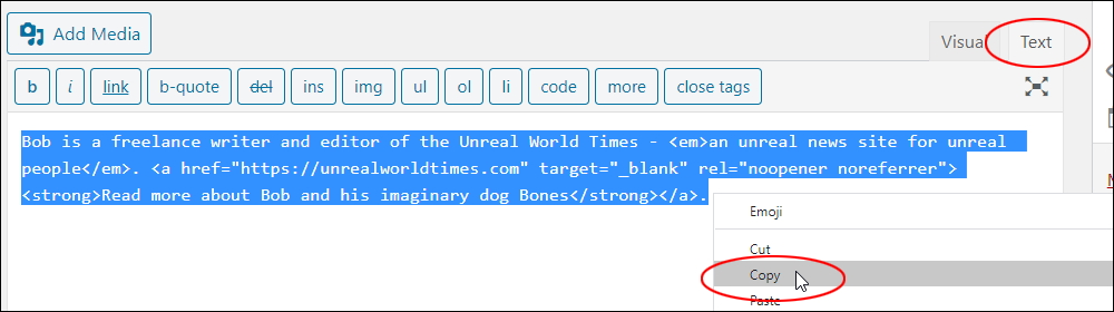 Copying selected content in the Text tab.