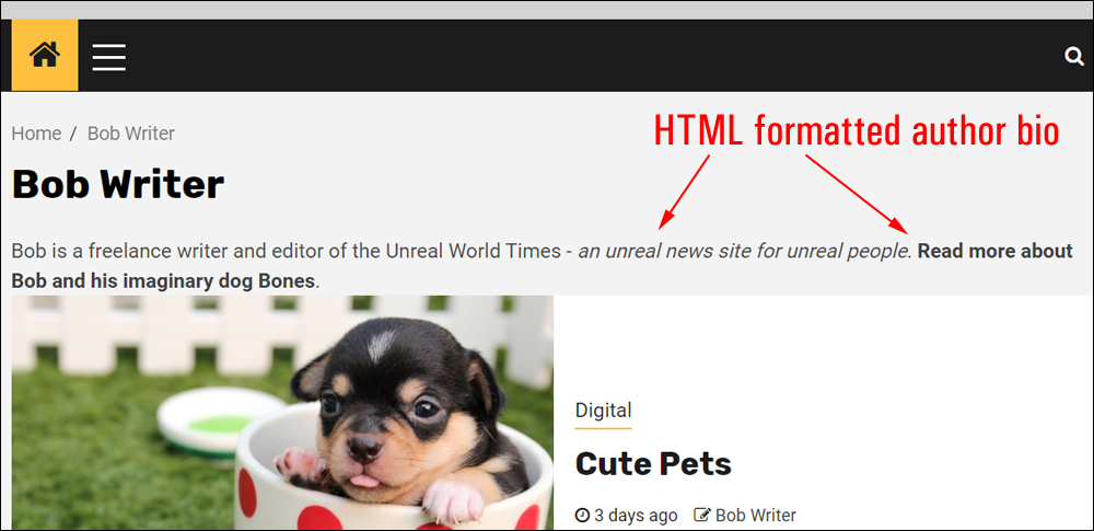 HTML formatted author bio.