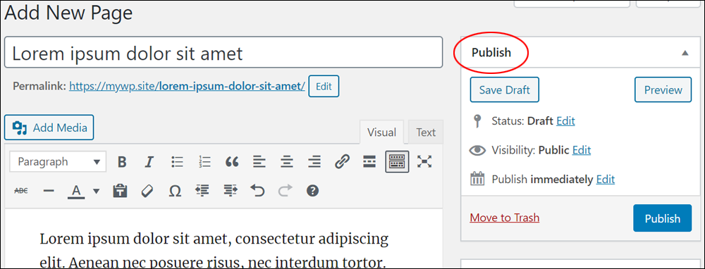 New page example with Publish box section highlighted.