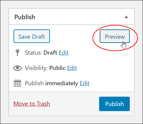 Publish box - Preview button.