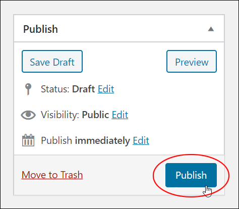 Publish box with Publish button highlighted.