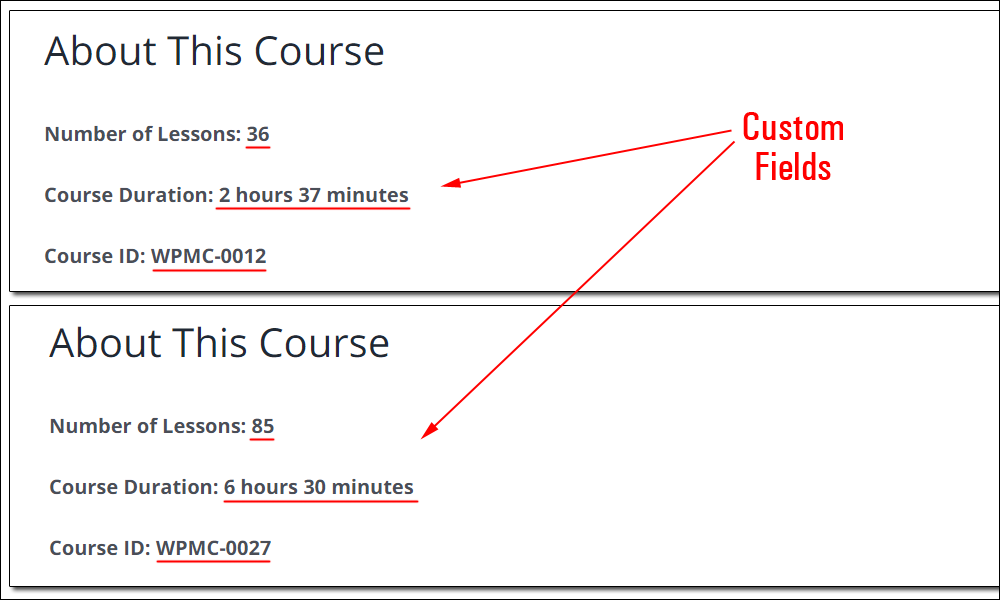 Example of information used with custom fields.