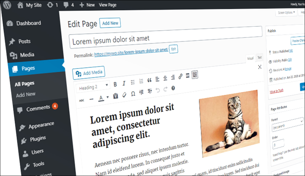 WordPress Edit Page screen.