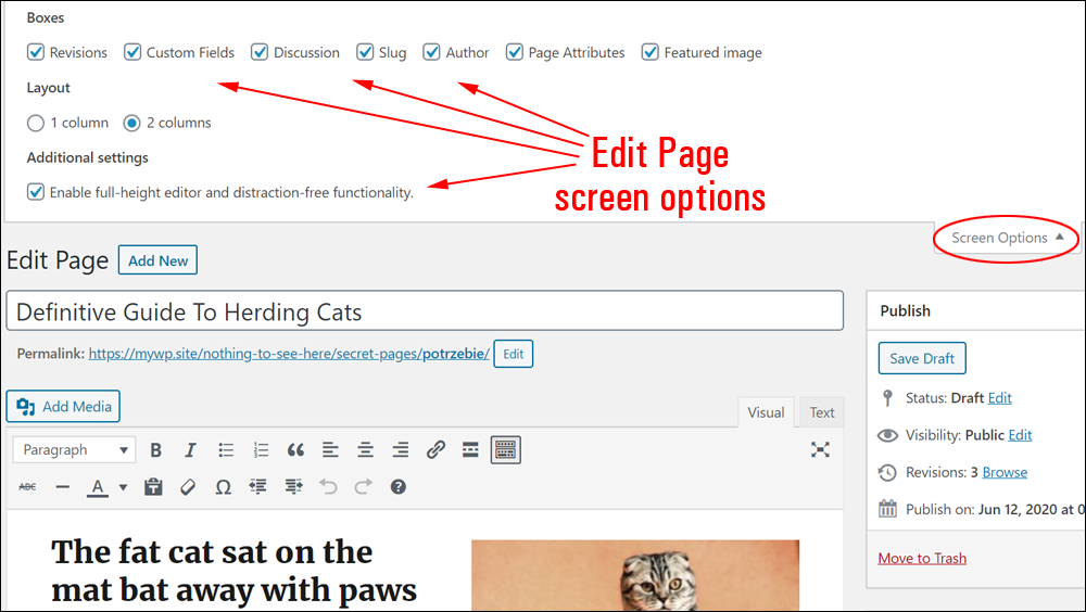 Edit Page screen options.