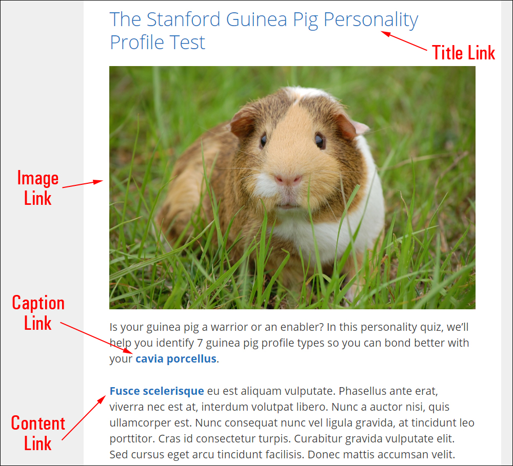 Illustration of different types of links.