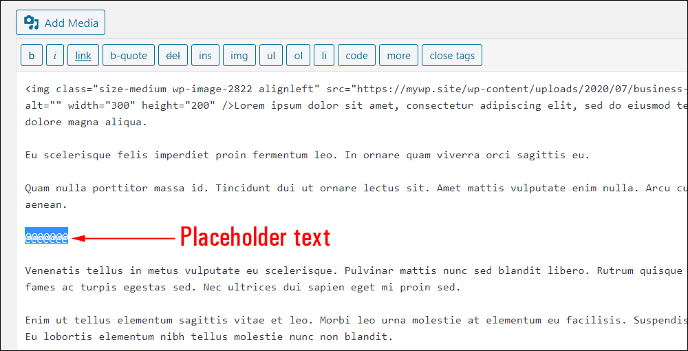 Text editor displaying placeholder text.