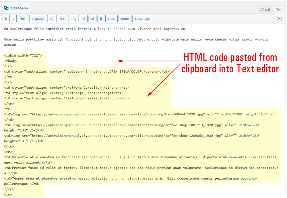 HTML code pasted from clipboard into Text editor.