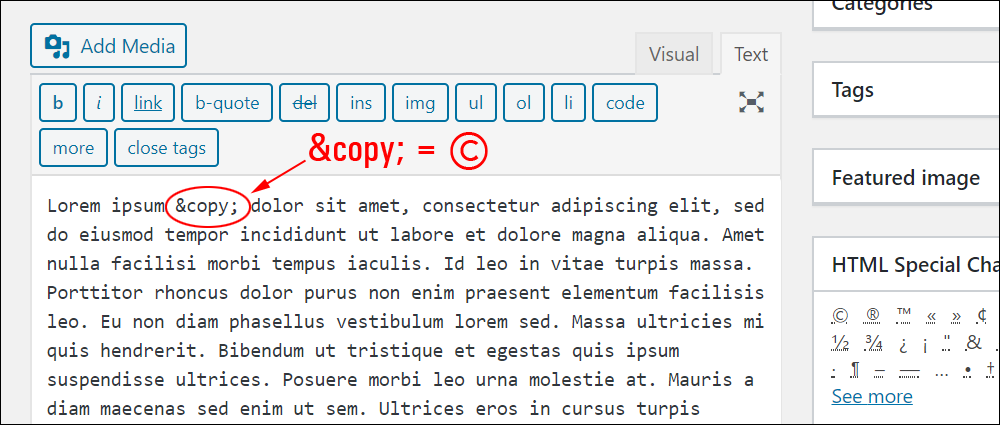 Character encoding inserted into post in Text editor.