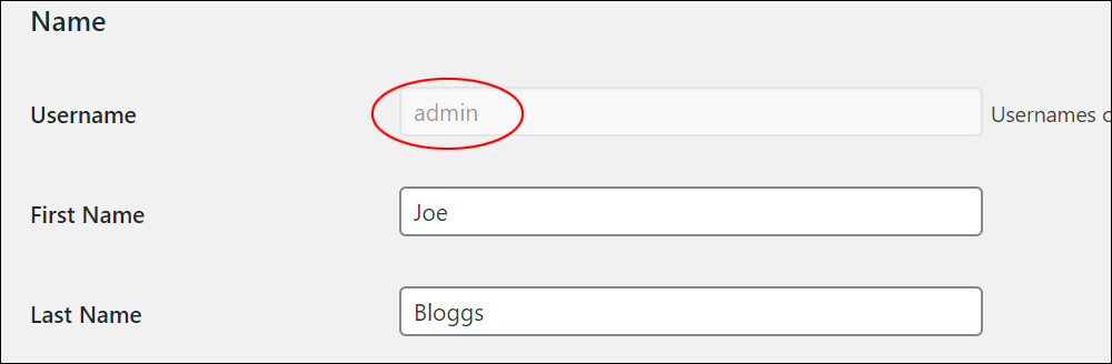 User Profile - Name section with Username field highlighted.