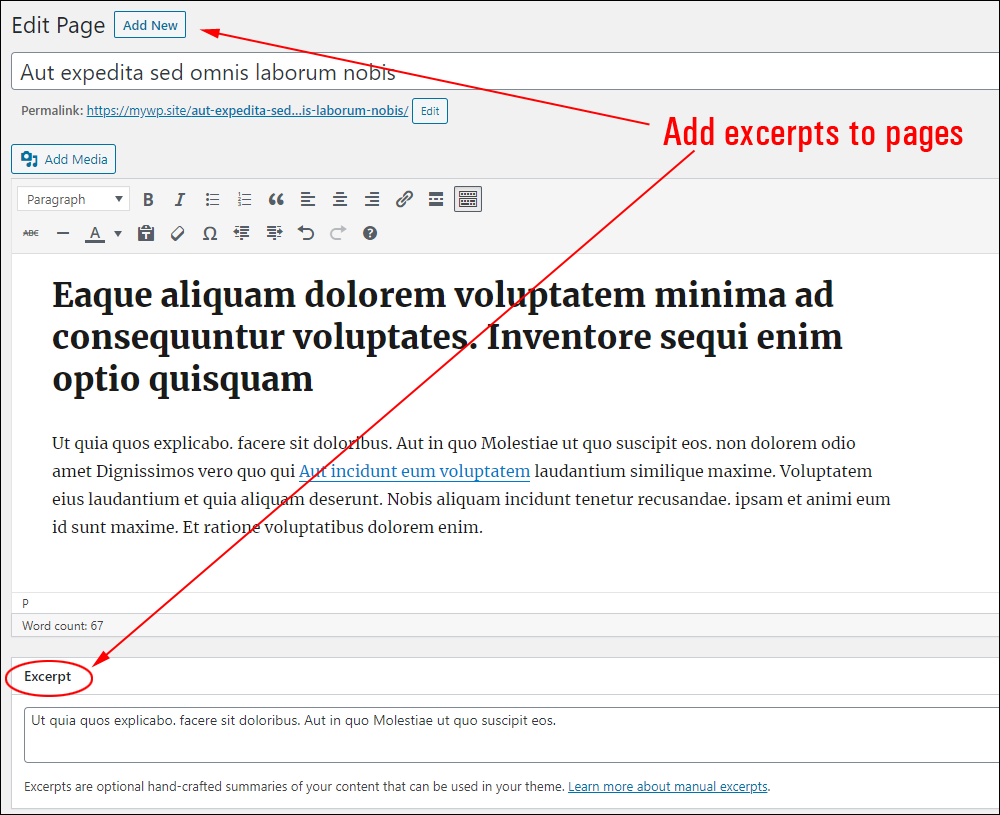 Add excerpts to pages.