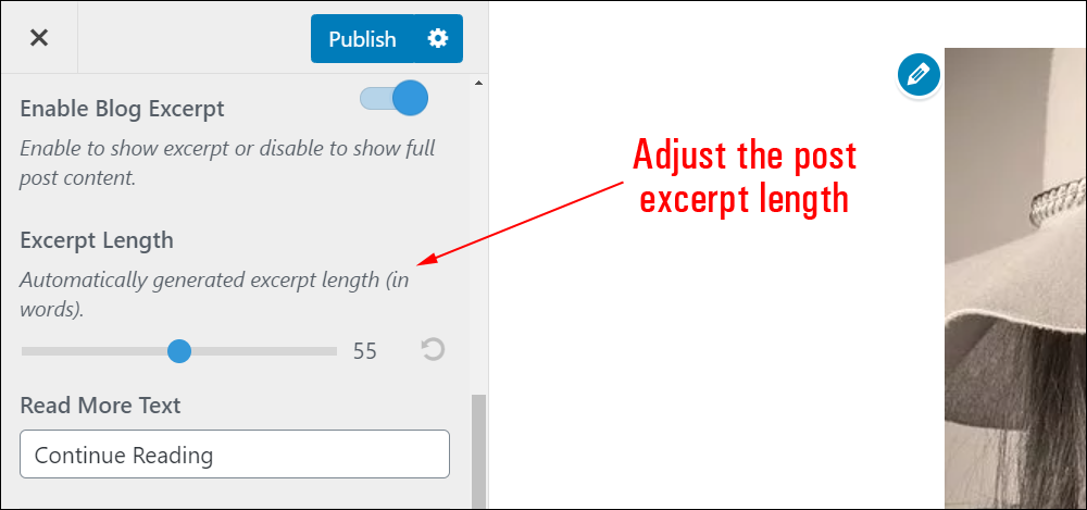 Theme Customizer - Excerpt Length