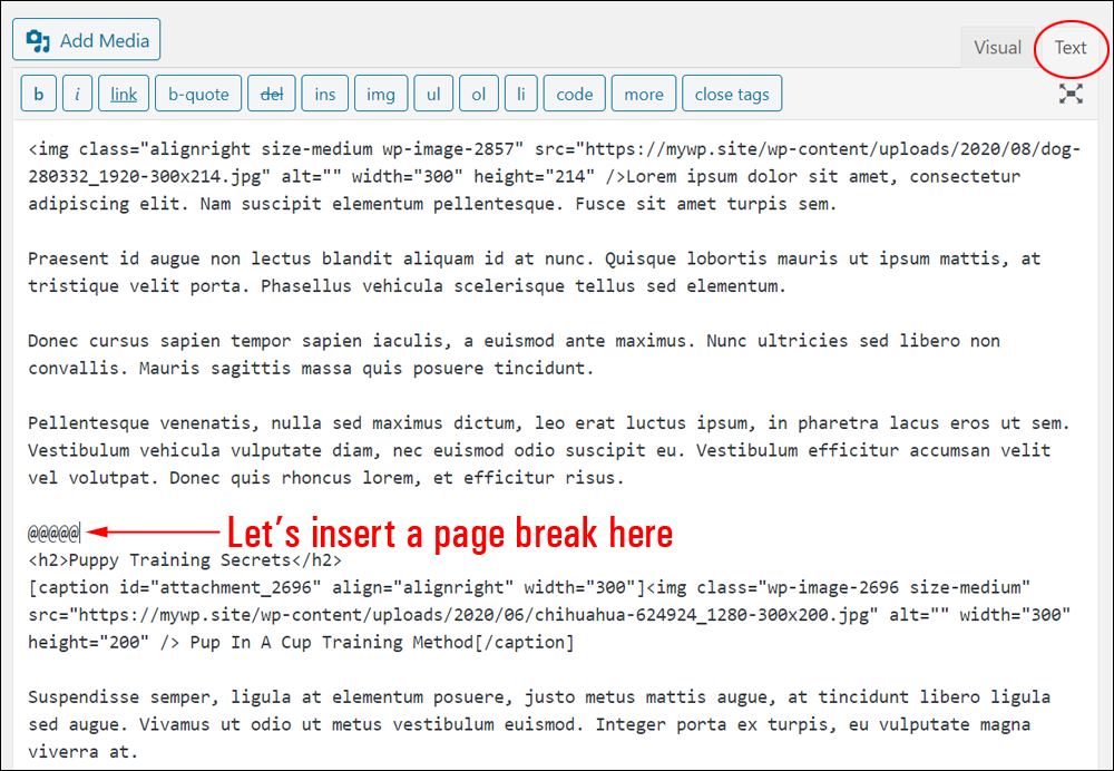 Page break placeholder symbols in text editor.