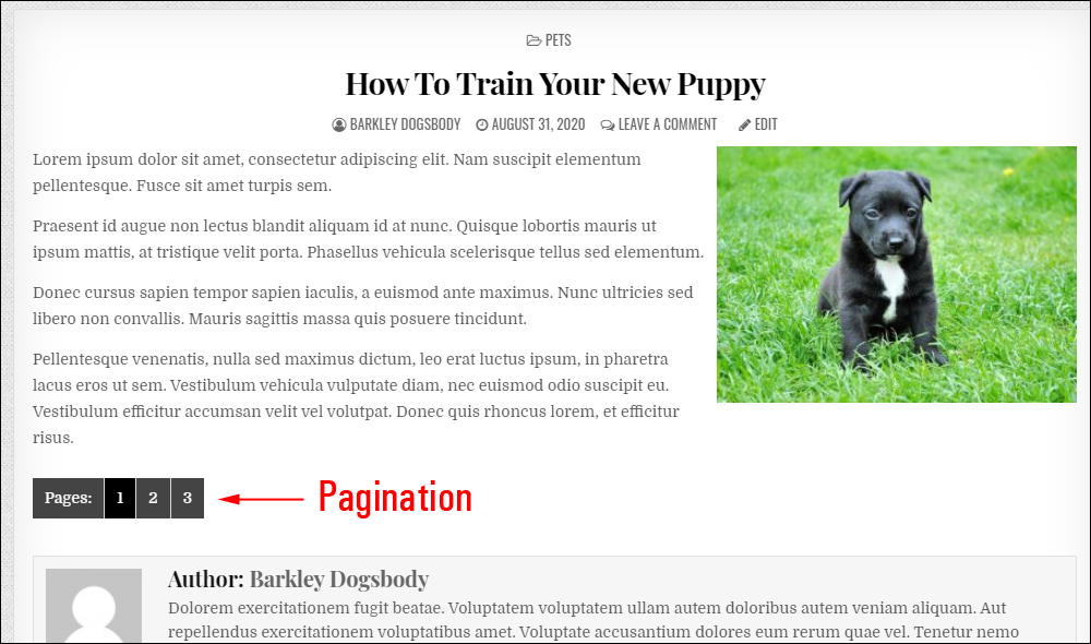 Example of pagination style in a WordPress theme.