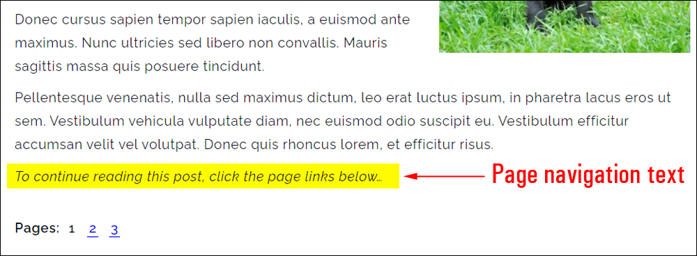 Page navigation text.