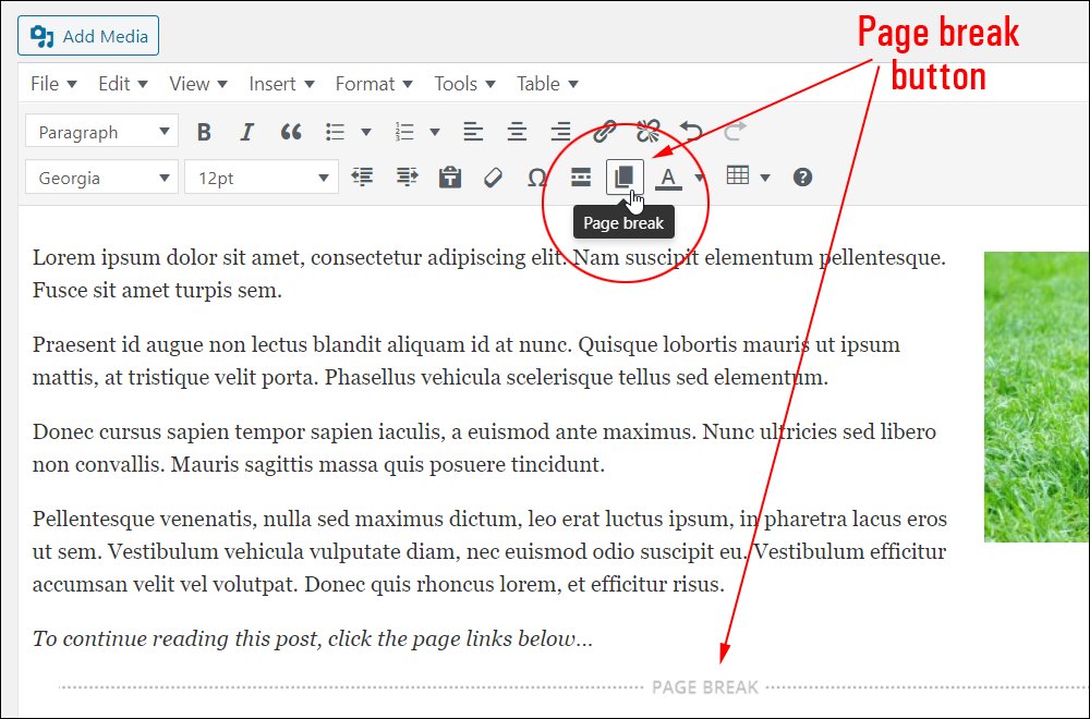 Page break button added to WordPress Classic Editor.