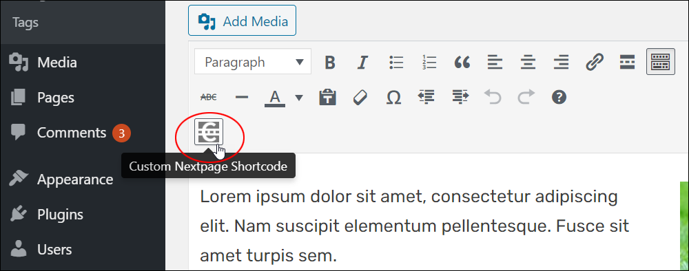 Custom Nextpage Shortcode menu button.