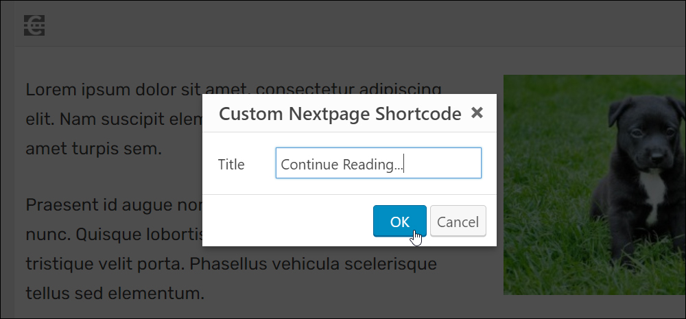 Custom Nextpage shortcode.