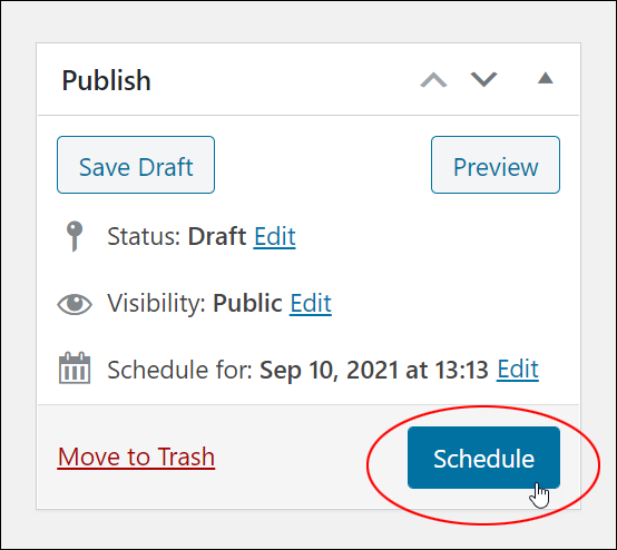 Publish Box - Schedule button.