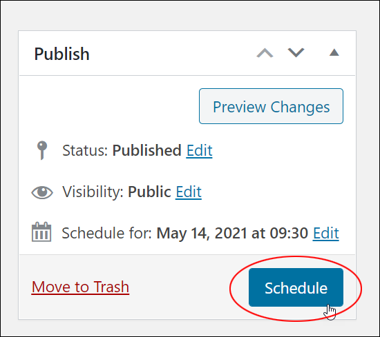 Publish box - Schedule Button