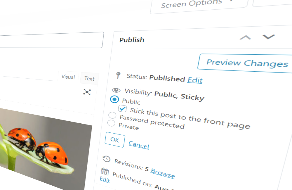 Learn how to make a WordPress post sticky.