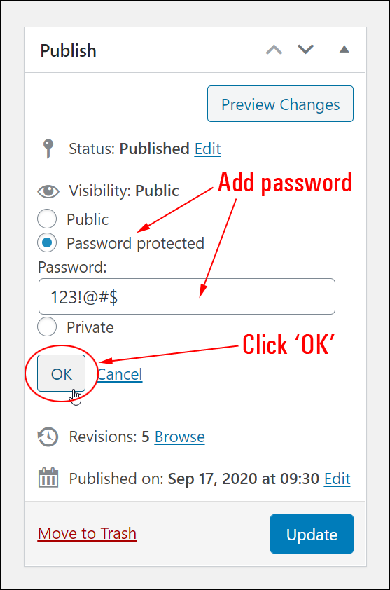 Publish box - Password protected option