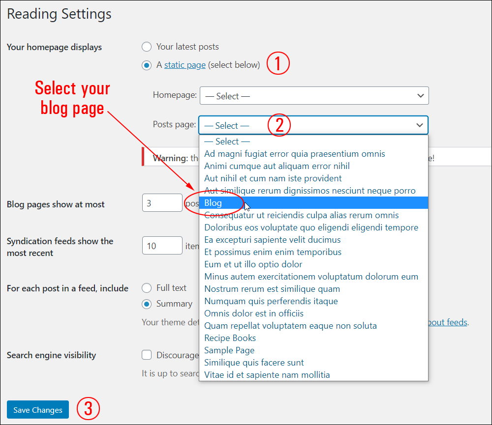 WordPress Reading Settings screen