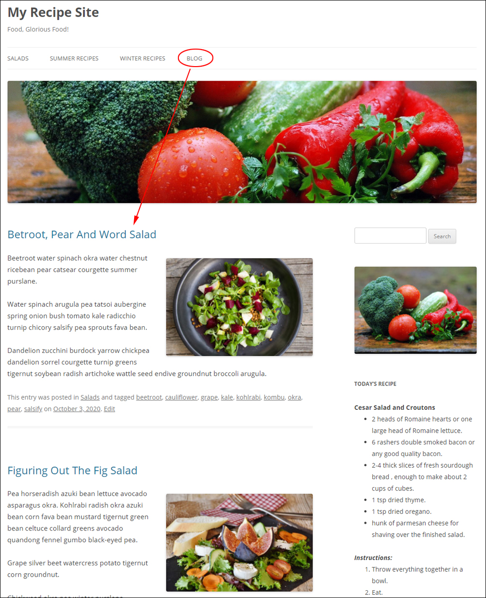 Example of a WordPress site with an added Blog Page.