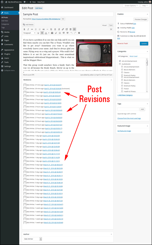 Revisions meta box with loads of saved post revisions.