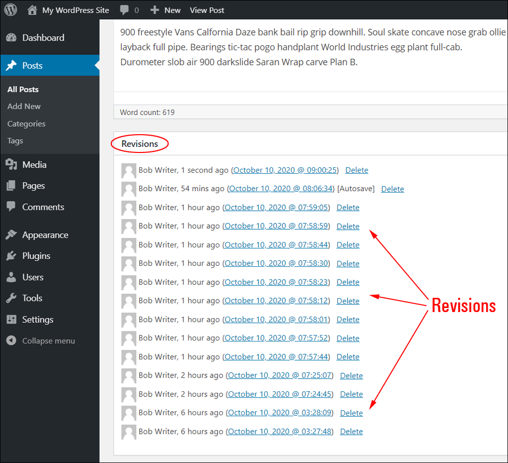 WordPress Revisions box.