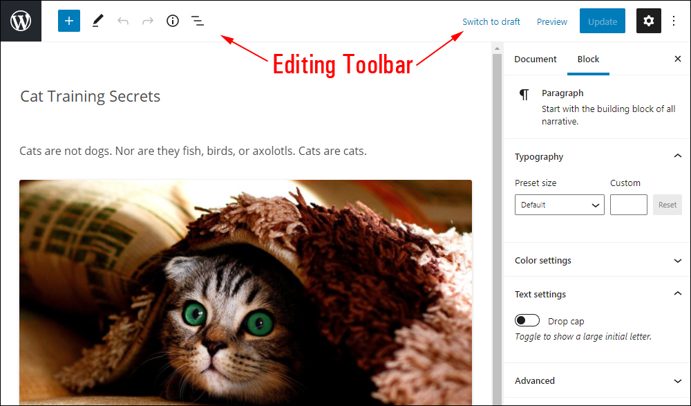 WordPress Content Editor: Editing Toolbar