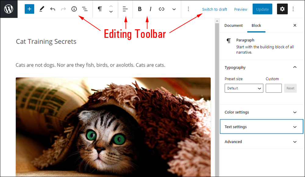 WordPress Block Editor - Editing Toolbar 