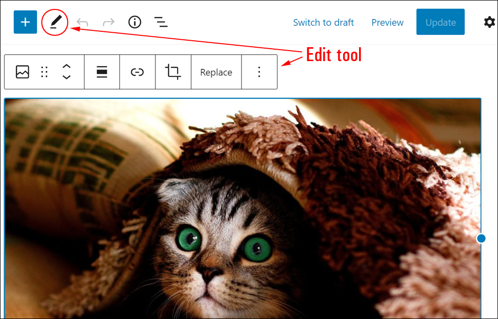 WordPress Block Editor: Editing Toolbar - Edit tool.