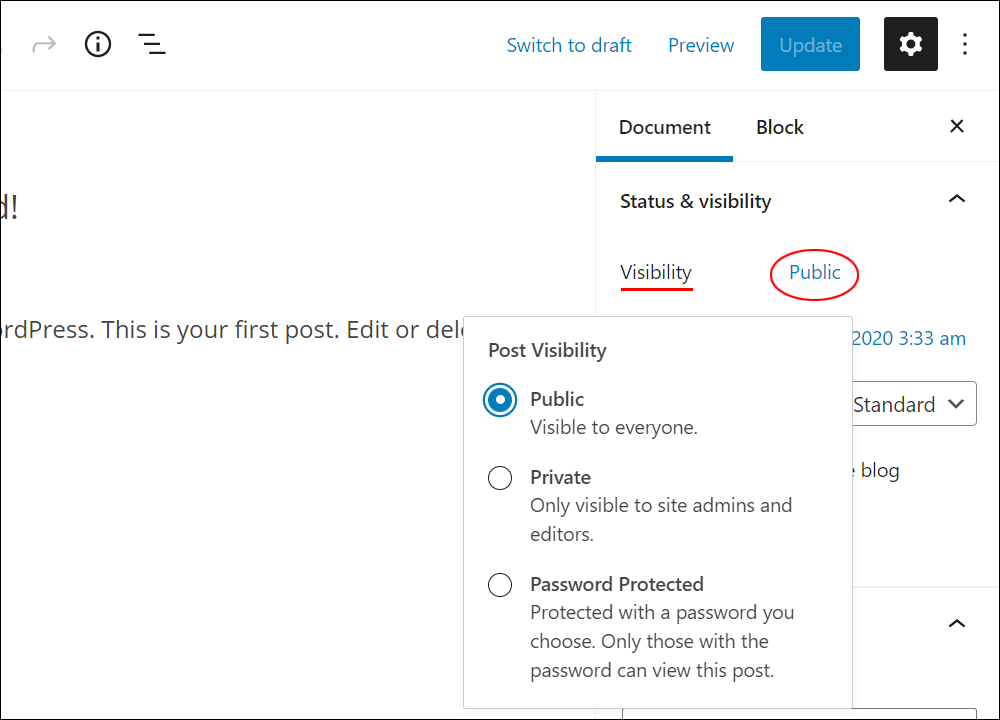 WordPress Block Editor: Document Settings - Status & visibility settings.