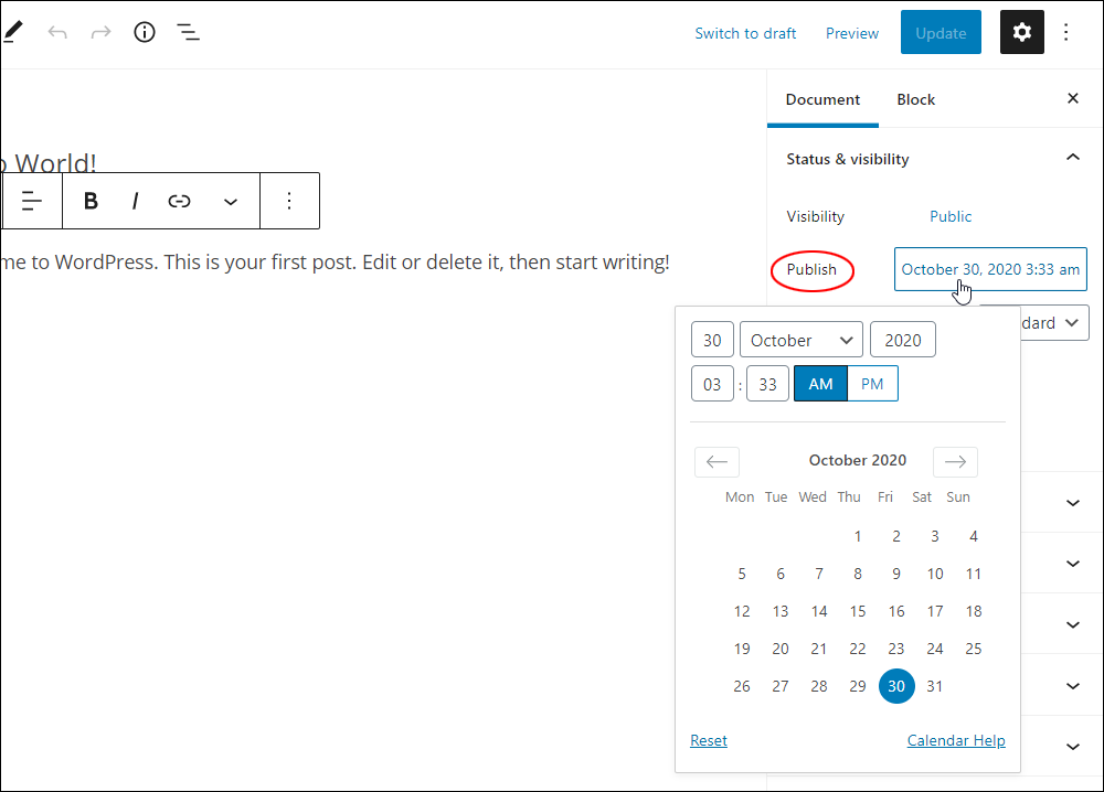 WordPress Block Editor: Document Settings - Publish settings.