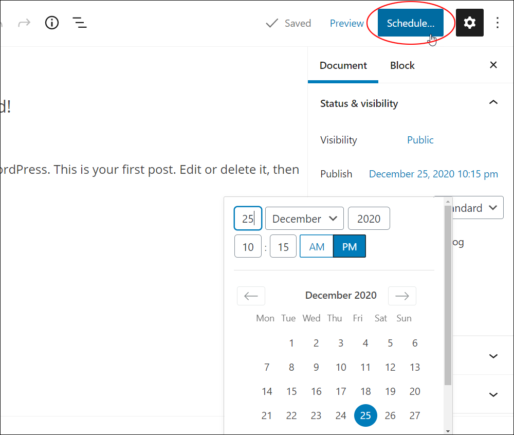 WordPress Block Editor: Document Settings - Schedule button.