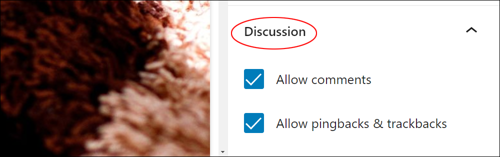 WordPress Block Editor: Document Settings - Discussion settings.