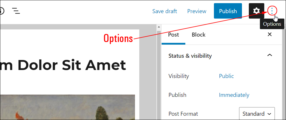 WordPress content editor - Options settings section.