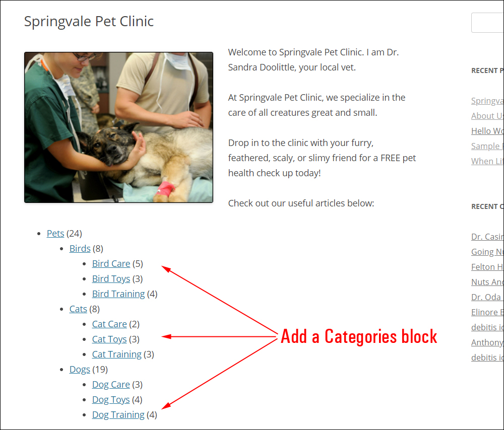 Sample content with a Categories block.