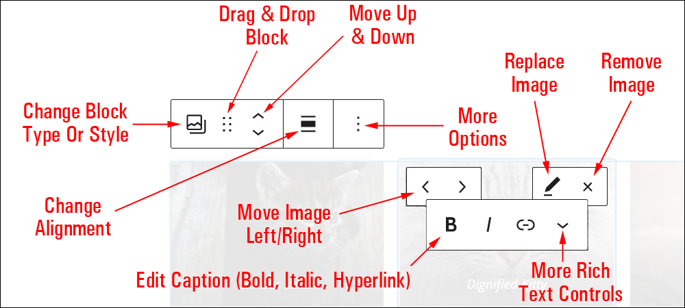 Gallery block editor.