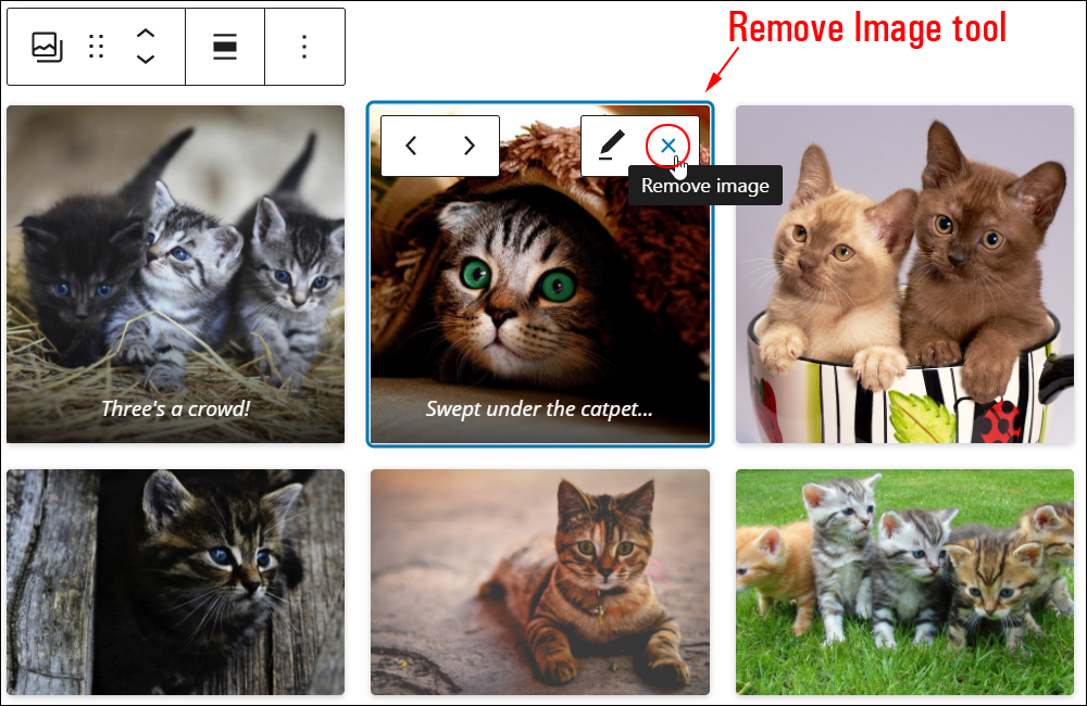 Gallery block - Remove image tool.