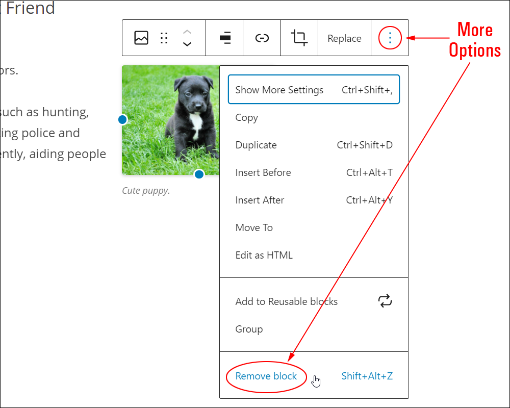 Image block: More Options tool - Remove block.