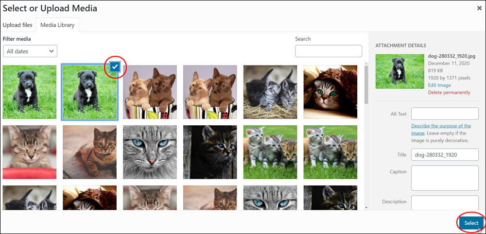 WordPress Media Library - Select Image.