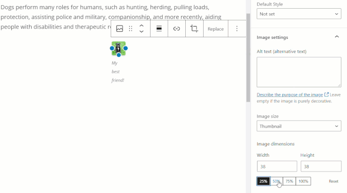 Image block - Dimension settings.